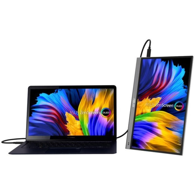 Asus MQ13AH 13" Class Full HD OLED Monitor MQ13AH