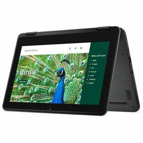 Dell Chromebook 3000 3120 11.6" Touchscreen Convertible 2 in 1 Chromebook - HD - Intel N100 - 8 GB - 64 GB Flash Memory - English (US) Keyboard - Gray RNFJK