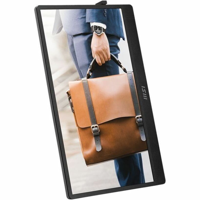 MSI PRO MP161 E2U 16" Class Full HD LED Monitor - 16:9 - Black, Metal Silver PROMP161E2U