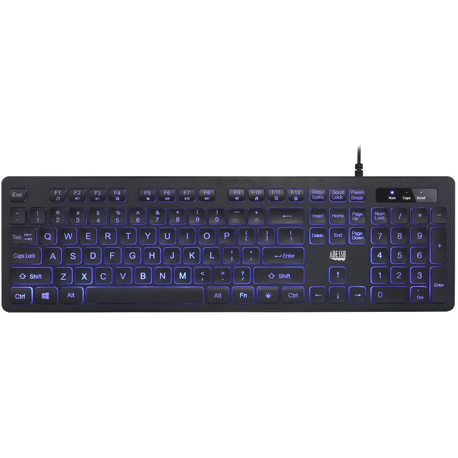 Adesso Large Print Illuminated Desktop Keyboard AKB-139EB