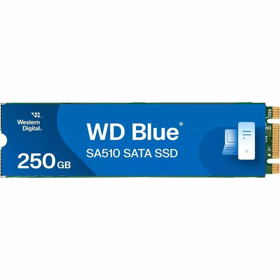 WD Blue SA510 WDS250G3B0B-00AXS0 250 GB Solid State Drive - M.2 2280 Internal - SATA (SATA/600) WDS250G3B0B-00AXS0