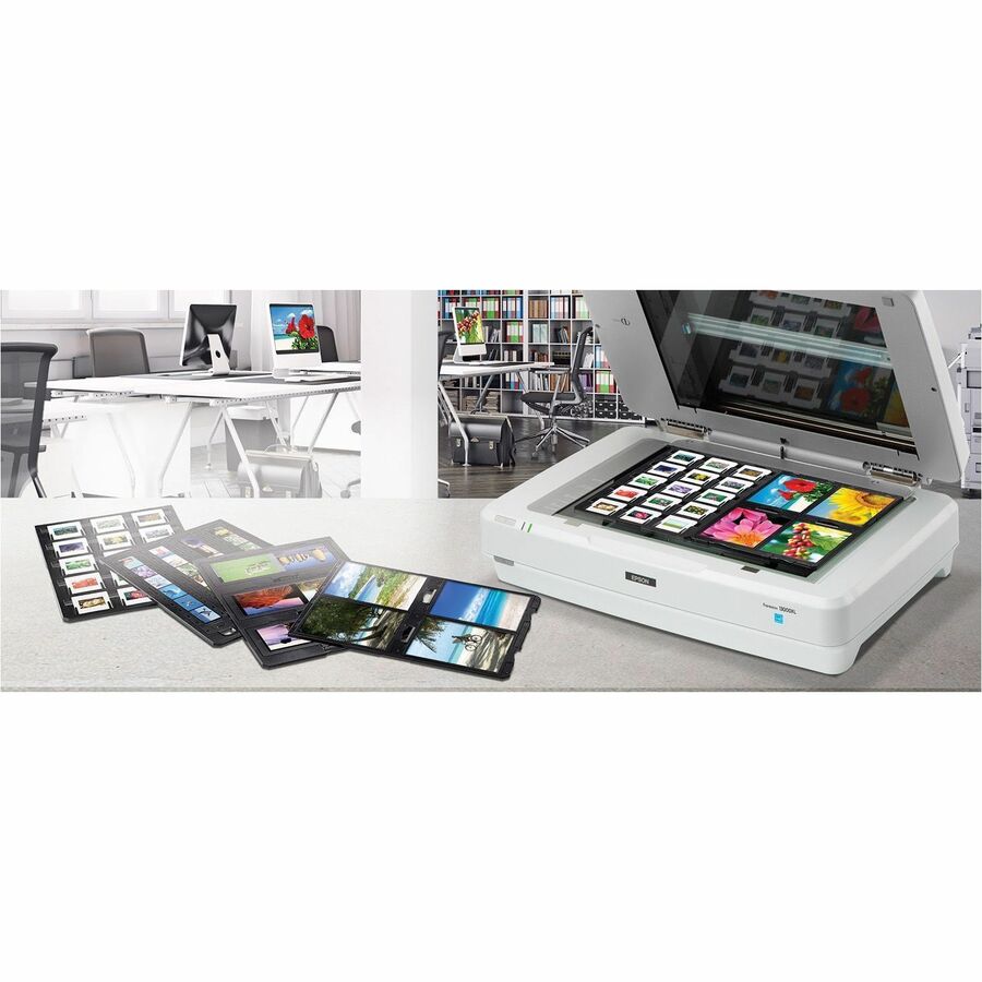 Epson Expression 13000XL Large Format Flatbed/Film Scanner - 2400 dpi Optical B11B257201