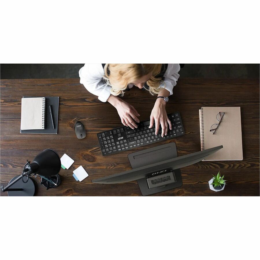 MSI PRO MP252 25" Class Full HD LCD Monitor - 16:9 PROMP252