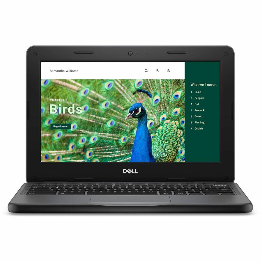 Dell Chromebook 3000 3120 11.6" Clamshell Chromebook - HD - Intel N100 - 4 GB - 64 GB Flash Memory - English (US) Keyboard - Gray CC6PF