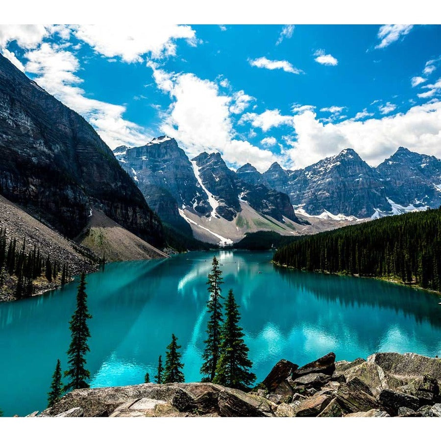 ViewSonic VA2456-MHD_H2 Dual Pack Head-Only 1080p IPS Monitors with 100Hz, Ultra-Thin Bezels, HDMI, DisplayPort and VGA for Home and Office VA2456-MHD_H2