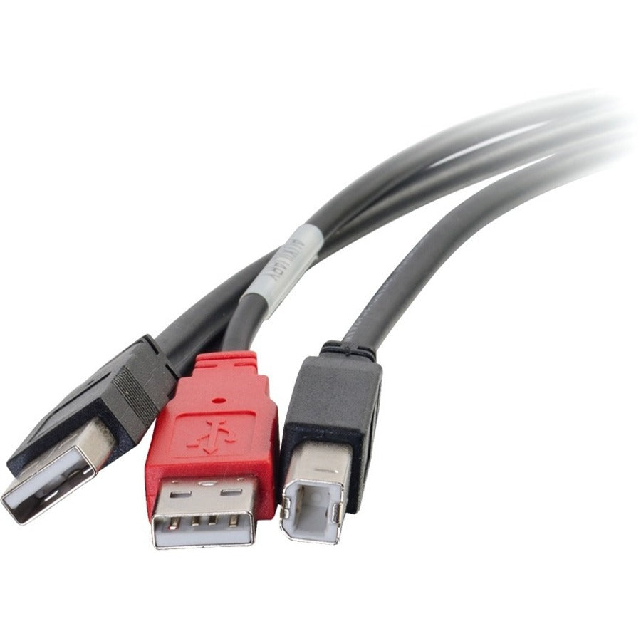 C2G 6ft USB A to USB B Y-Cable - Dual USB A to USB B Cable - USB 2.0 - M/M 28108