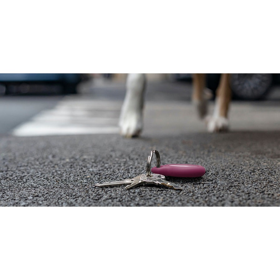 Belkin Secure Holder with Key Ring for AirTag F8W973BTPNK