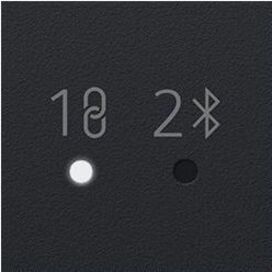 1082482930.jpg