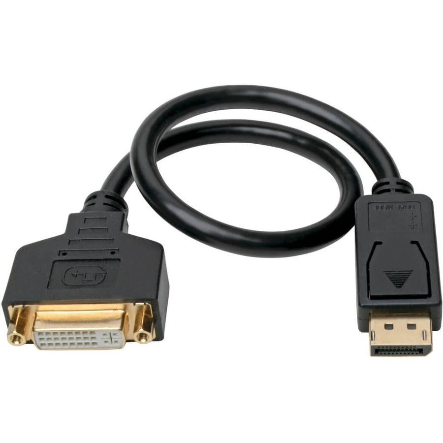 Eaton Tripp Lite Series DisplayPort to DVI Adapter Video Converter, Black (M/F), 1 ft. (0.31 m) P134-001-GC