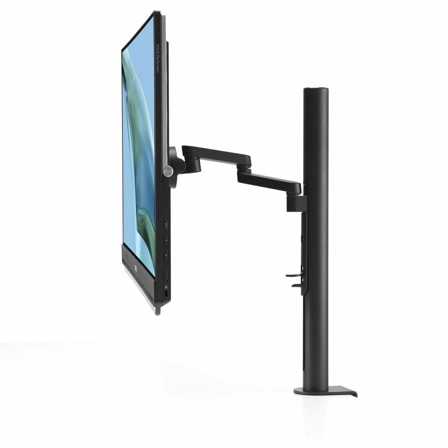 Asus ZenScreen MB249C 24" Class Full HD LED Monitor - 16:9 - Black MB249C