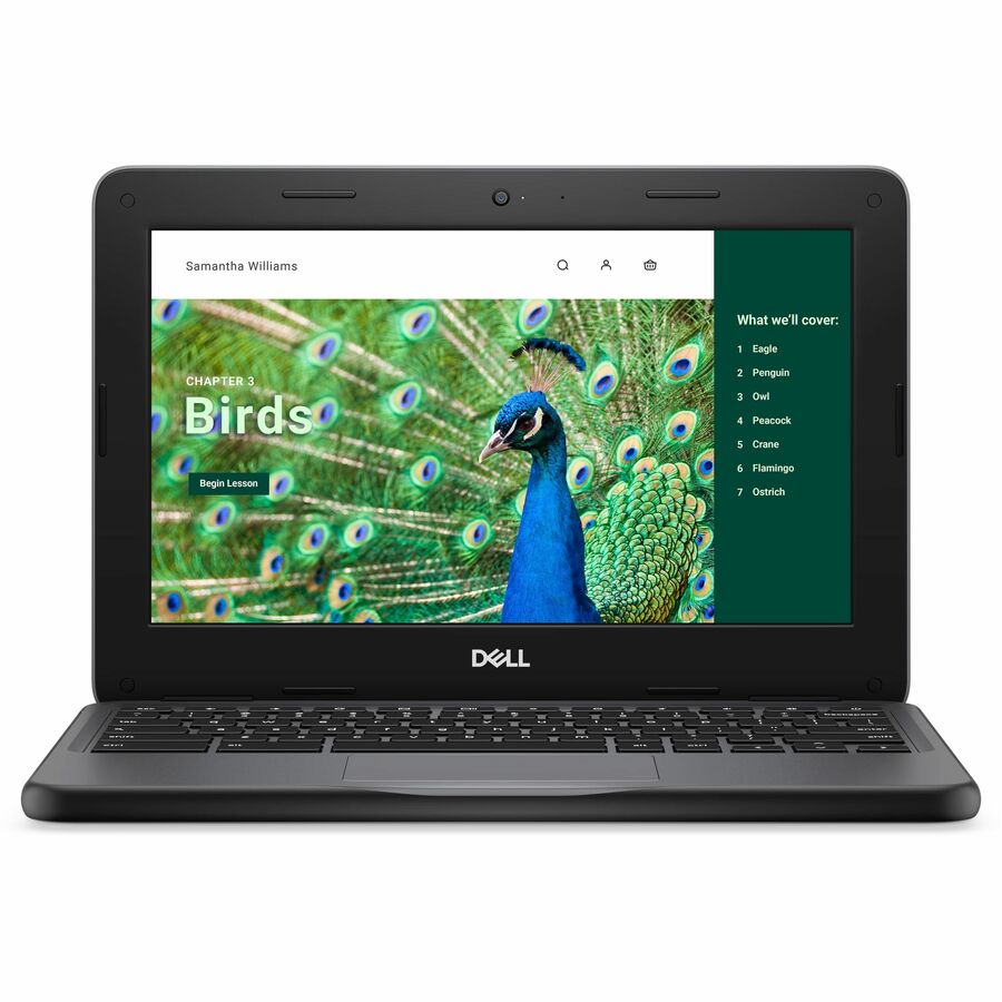 Dell Chromebook 3000 3120 11.6" Touchscreen Convertible 2 in 1 Chromebook - HD - Intel N100 - 8 GB - 64 GB Flash Memory - English (US) Keyboard - Gray RNFJK