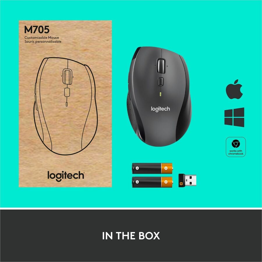 183350403.jpg