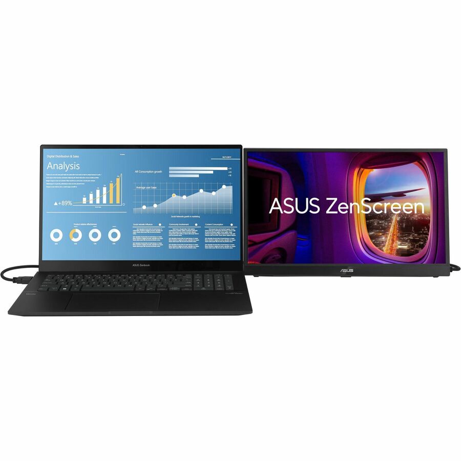 Asus ZenScreen MB17AHG 17" Class Full HD LED Monitor - 16:9 MB17AHG