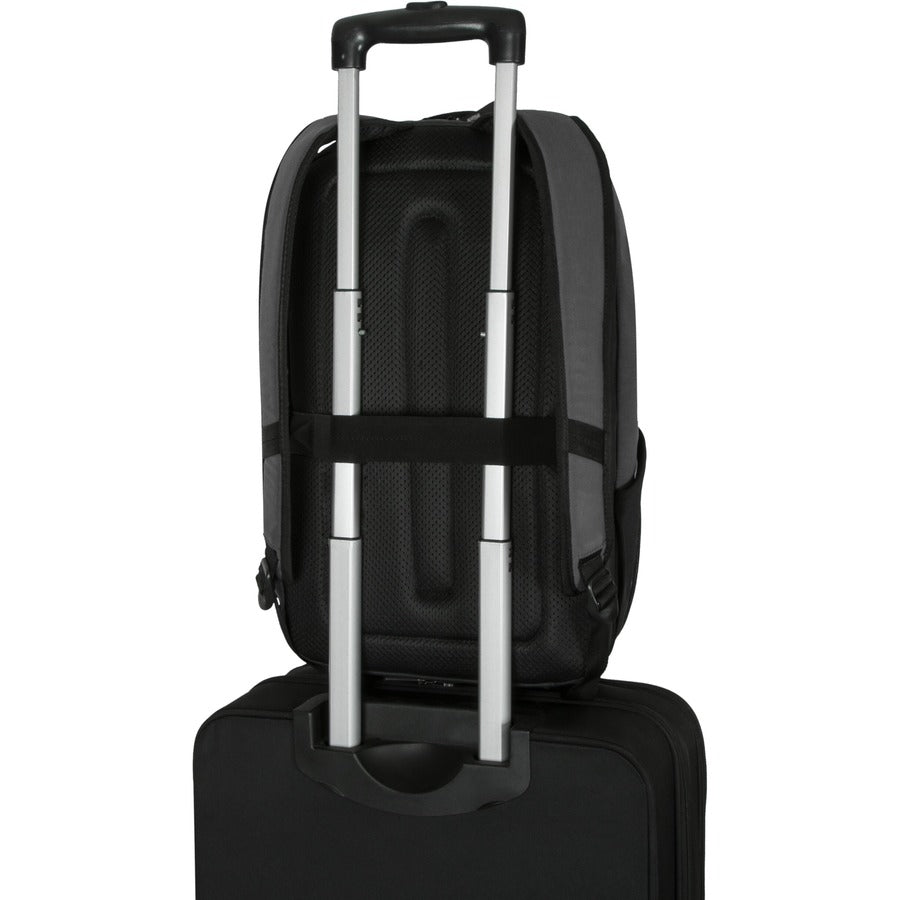 Targus City Fusion TBB629GL Carrying Case (Backpack) for 15.6" Notebook TBB629GL