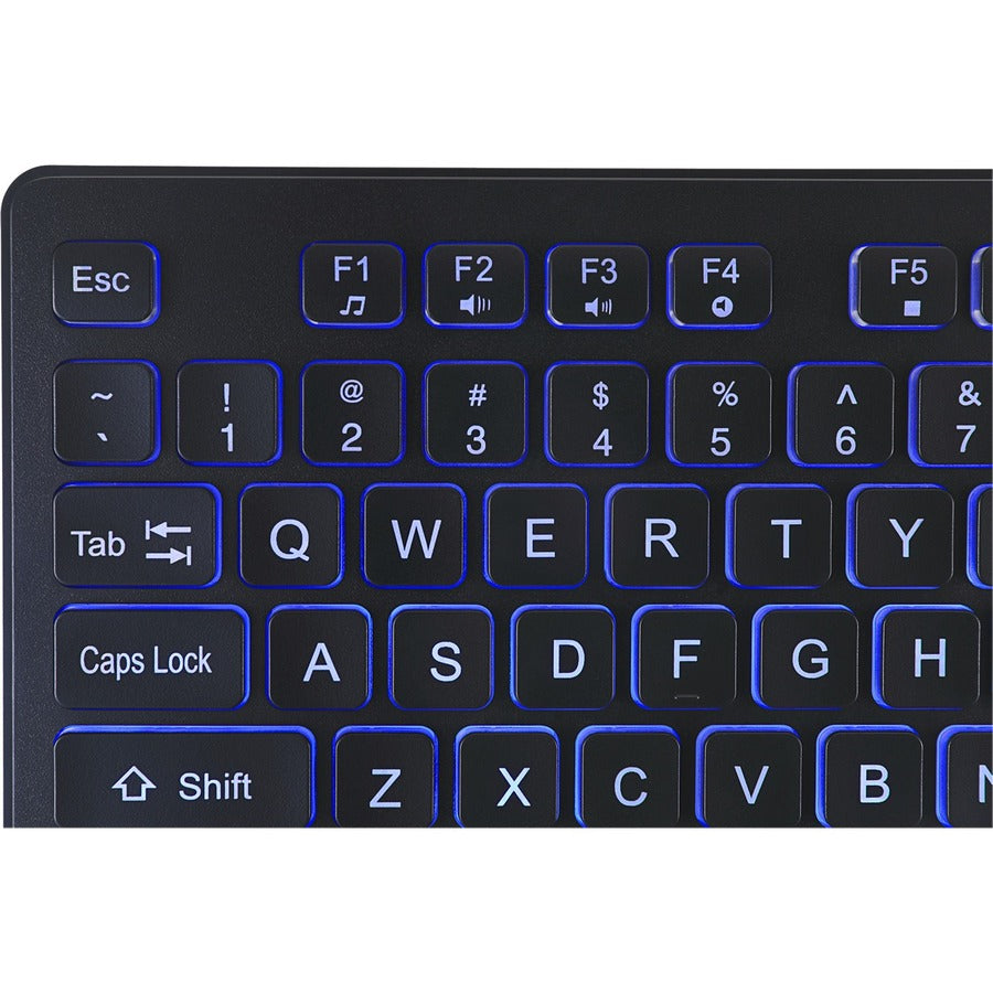 Adesso Large Print Illuminated Desktop Keyboard AKB-139EB
