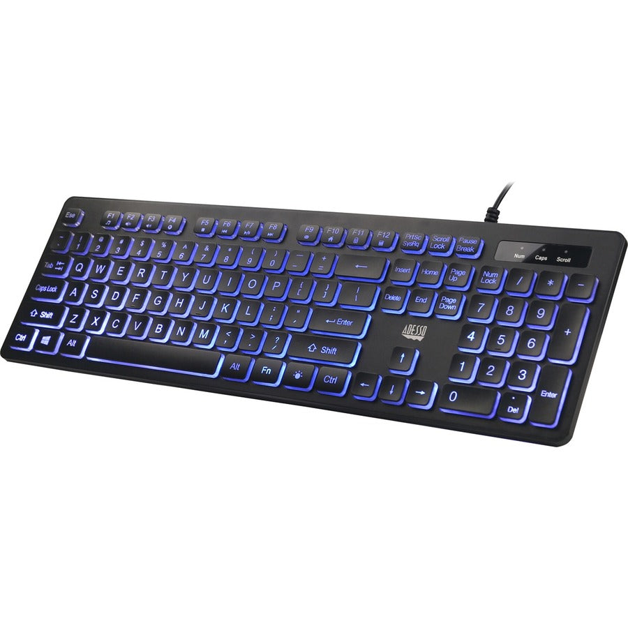 Adesso Large Print Illuminated Desktop Keyboard AKB-139EB