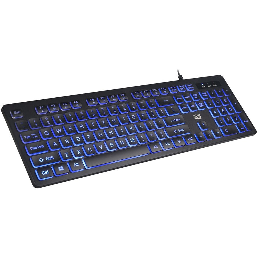 Adesso Large Print Illuminated Desktop Keyboard AKB-139EB