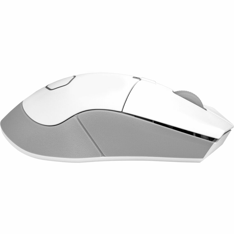 Cooler Master MM311 Gaming Mouse MM-311-WWOW1