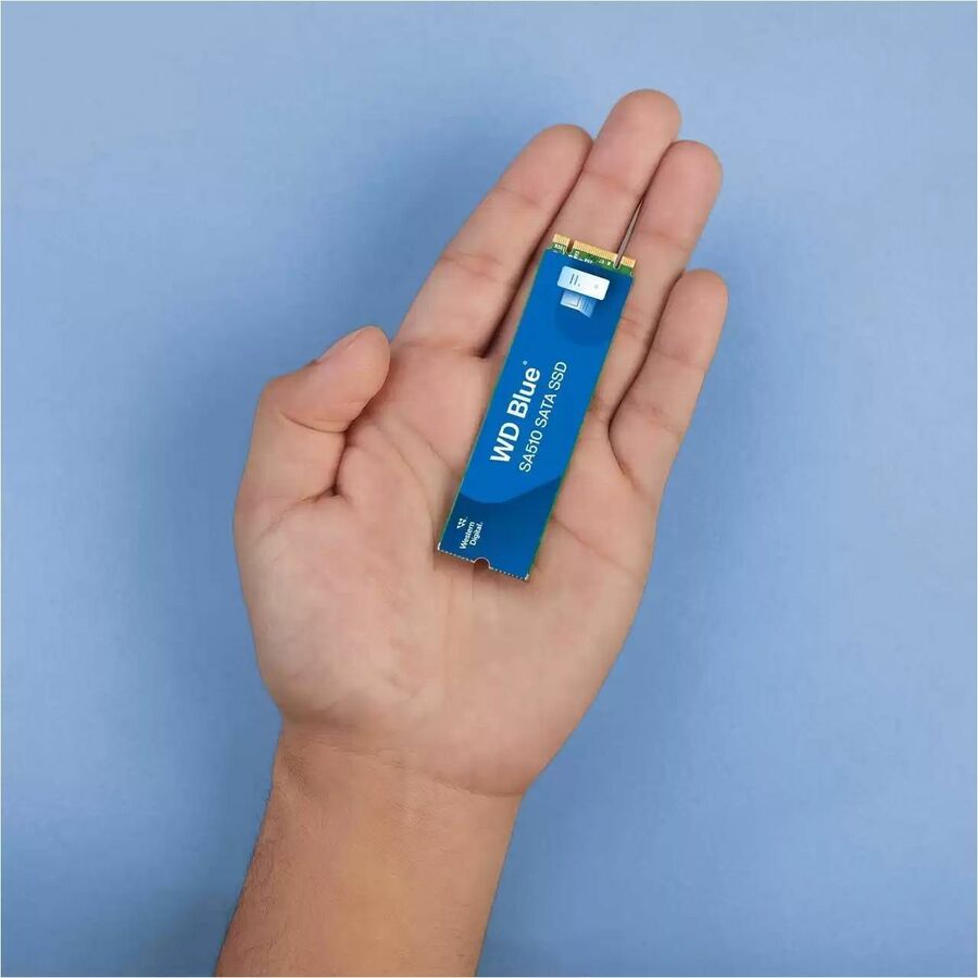WD Blue SA510 WDS500G3B0B-00AXS0 500 GB Solid State Drive - M.2 2280 - SATA WDS500G3B0B-00AXS0