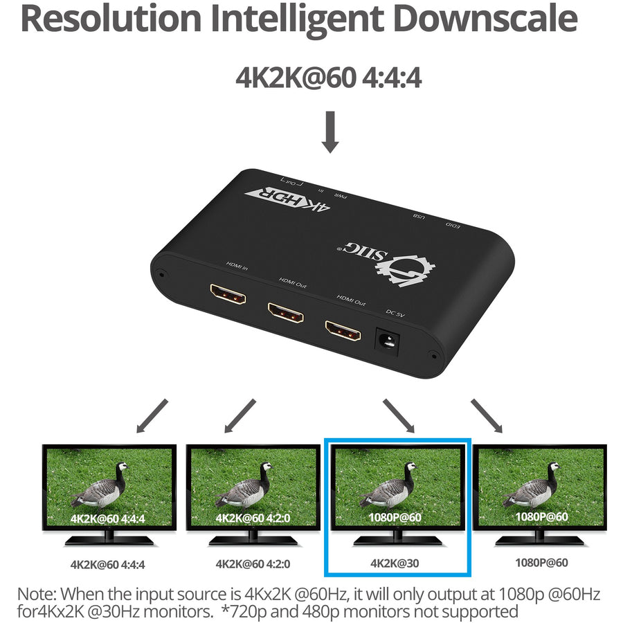 SIIG 1x2 HDMI 2.0 Splitter / Distribution Amplifier with Auto Video Scaling - 4K 60Hz HDR CE-H22X11-S1