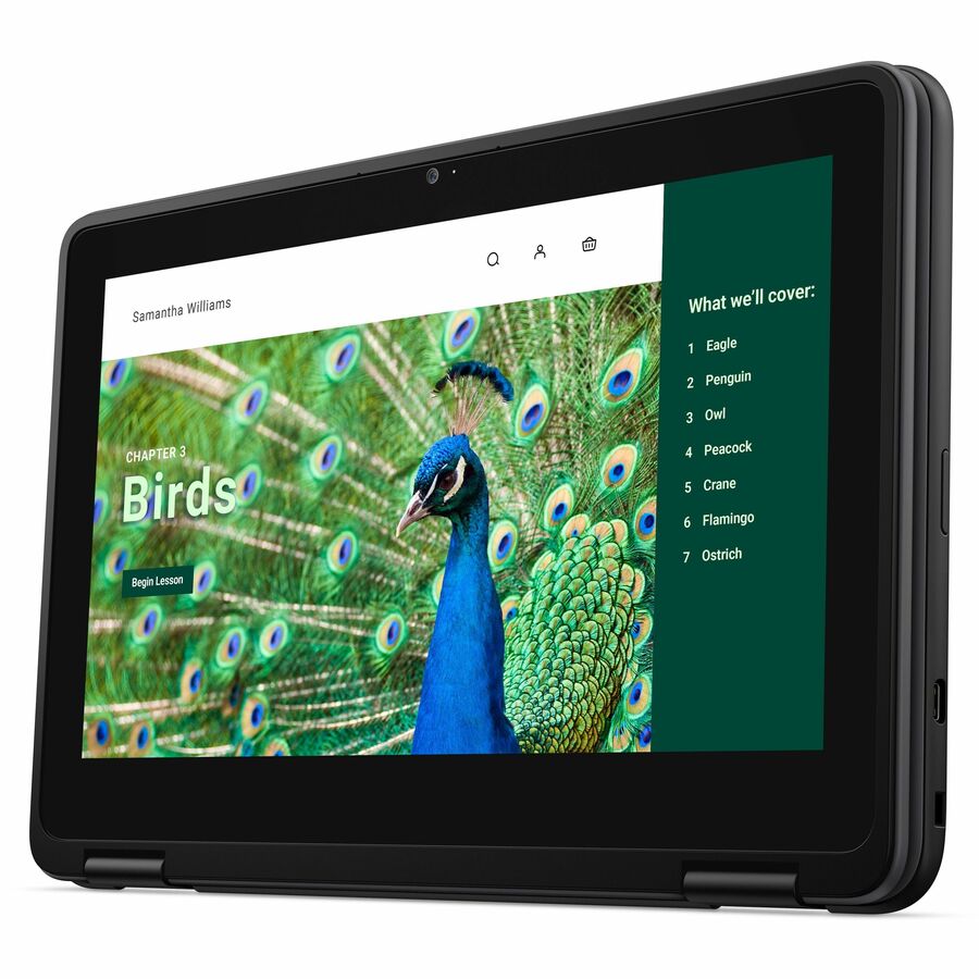 Dell Chromebook 3000 3120 11.6" Touchscreen Convertible 2 in 1 Chromebook - HD - Intel N-Series N100 - 4 GB - 64 GB Flash Memory - English (US) Keyboard - Gray J9HDD
