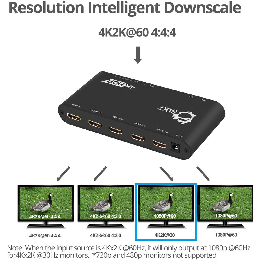 SIIG 1x4 HDMI 2.0 Splitter / Distribution Amplifier with Auto Video Scaling - 4K 60Hz HDR CE-H22Y11-S1