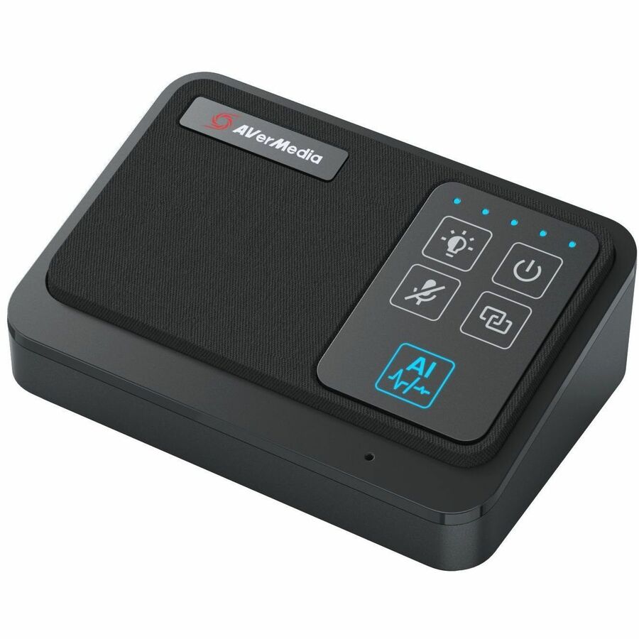 AVerMedia Wireless Expansion Microphone Kit AW111