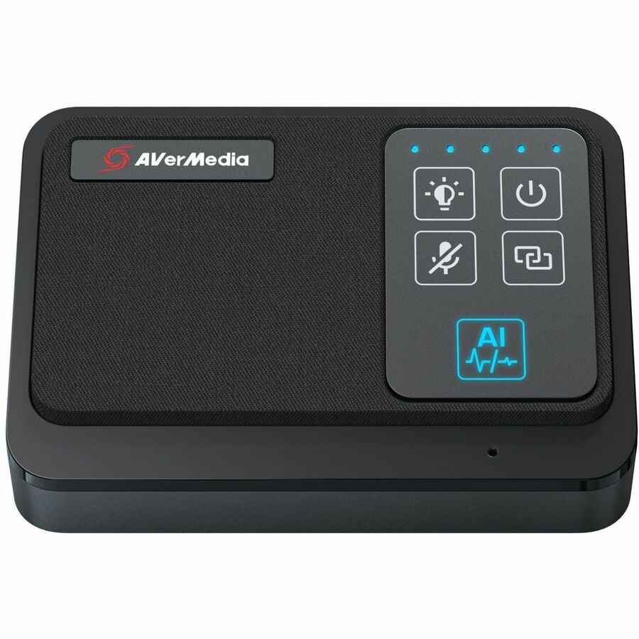 AVerMedia Wireless Expansion Microphone Kit AW111