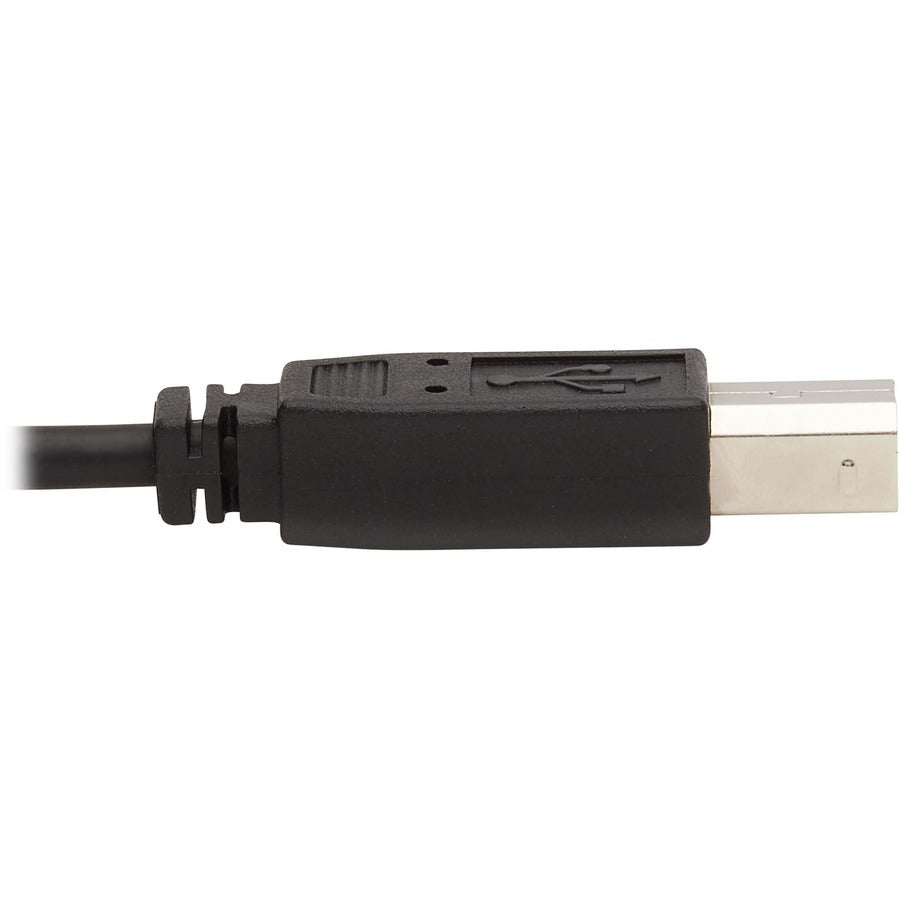 Tripp Lite by Eaton Dual DisplayPort KVM Cable Kit - DP, USB, 3.5 mm Audio (3xM/3xM) + DP (M/M), 4K, 4:4:4, 6 ft. (1.83 m), Black P783-006-DP