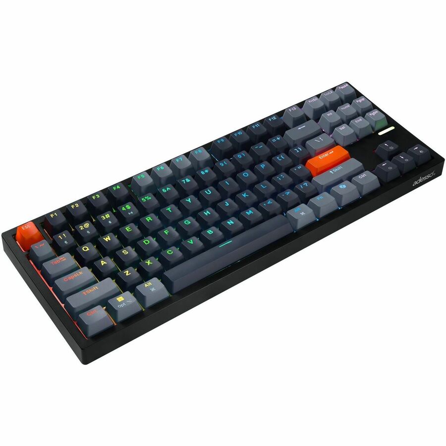 246304569.jpg