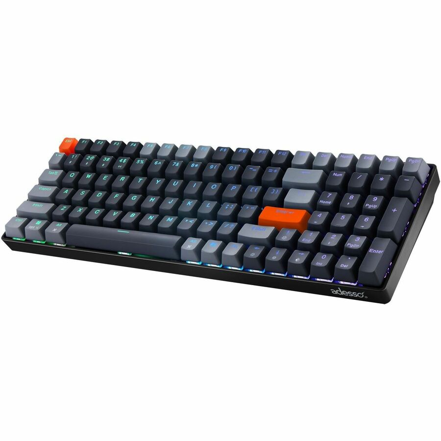 246304626.jpg