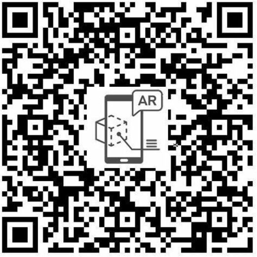 246314344.jpg